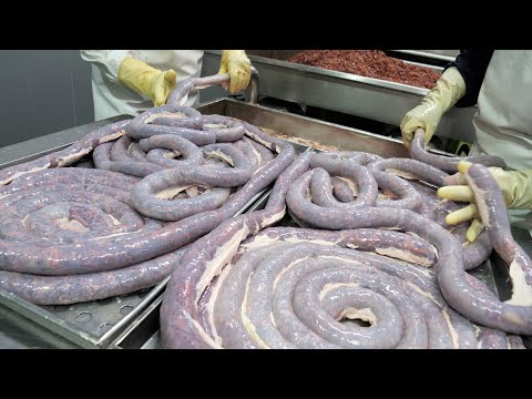 Видео: Выбранное президентом Кореи! Легендарный суп из корейской кровяной колбасы с 58-летней традицией