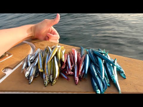 Видео: Я бросил в море рыбу жуткого цвета, и она вернулась вкусной рыбой.