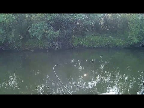 Видео: 🎣Когда Размер не имеет значения: спиннинг на мини-реке в Перми🎣