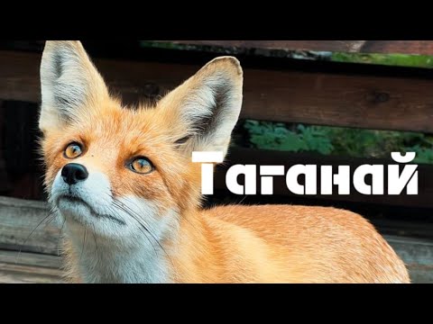 Видео: Как пережить расставание? Взять друзей. Уехать в горы. Таганай - популярный горный маршрут Урала. 