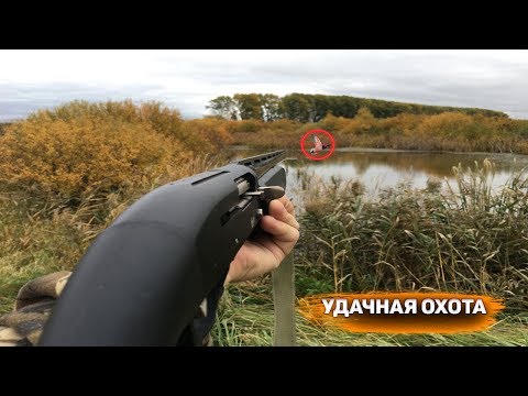 Видео: УДАЧНАЯ ОХОТА НА УТКУ! ОХОТА С ПОДХОДА 2019 МР155
