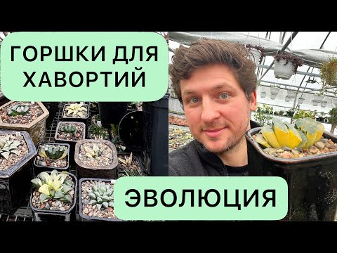 Видео: ГОРШКИ ДЛЯ ХАВОРТИЙ ПЛАСТИК И КЕРАМИКА. ОБЗОР ГОРШКОВ ДЛЯ СУККУЛЕНТОВ. КАКИЕ И ДЛЯ ЧЕГО Я ИСПОЛЬЗУЮ