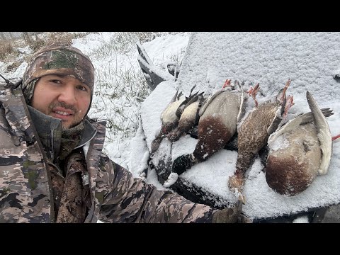Видео: Хорошая утрянка на утку