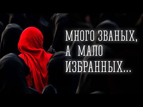Видео: МНОГО ЗВАНЫХ, А МАЛО ИЗБРАННЫХ... | брат Роман