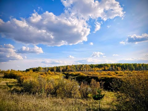 Видео: # 17. Грунт Cycling \ до Туринской Слободы 213 км