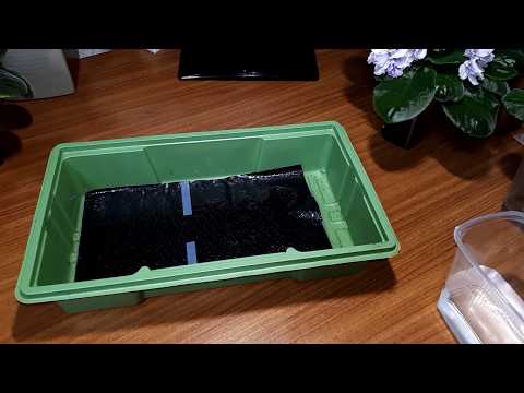 Видео: 🔝👍🏻 Полив на капиллярных матах от А до Я