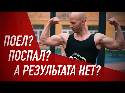 Видео: ВНАТУРАШКУ: ПИТАНИЕ НЕ ГЛАВНОЕ!