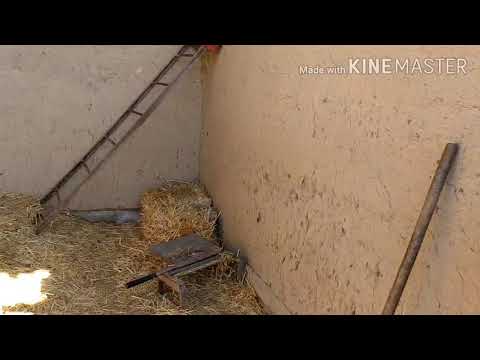 Видео: КАИНДАДА ҮЙ САТЫЛАТ/ ПРОДАЮ ДОМ В КАИНДЕ