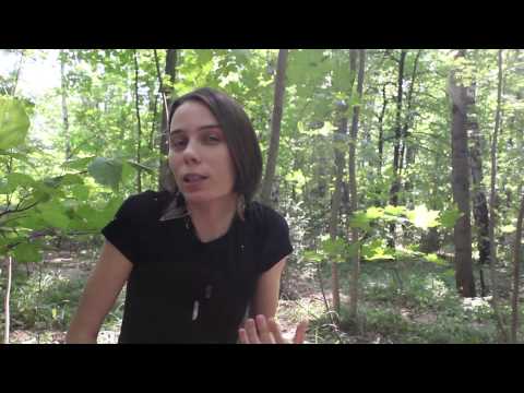 Видео: О викке магии и колдовстве  #9 Ламмас