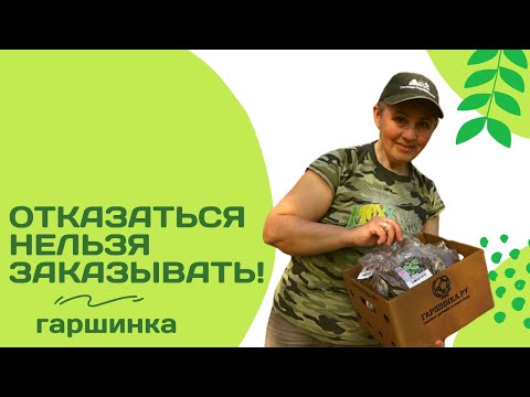 Видео: Я зеленая и саженцы тоже! Удачная посылка из "Гаршинки"!