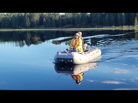 Видео: Рыбалка в Карелии. Про щук, окуней и медведей. 2023 год.