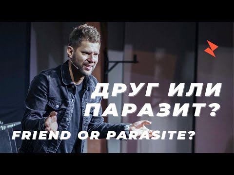 Видео: Евгений Пересветов «Друг или паразит» | Evgeny Peresvetov