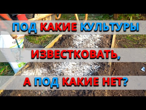 Видео: Под какие культуры нужно проводить известкование почвы? А под какие категорически нельзя?