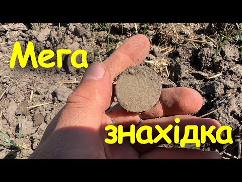 Видео: Знайшли купу мідних монет. Коп монет 2025