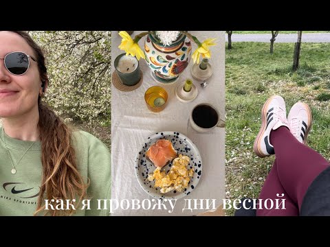 Видео: Весенние дни: начала снова бегать, вкусные завтраки дома, новая работа и этап жизни