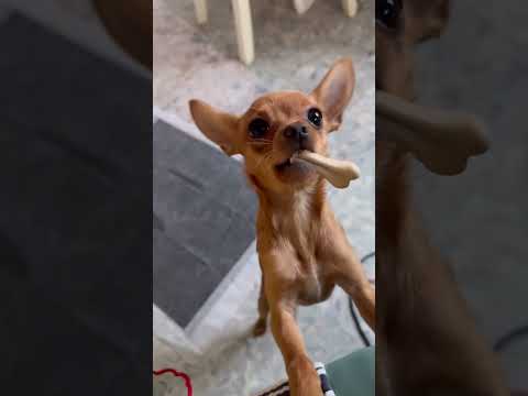 Видео: ОПЯТЬ ПОНЕДЕЛЬНИК