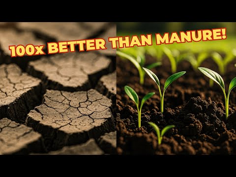 Видео: ХВАТИТ использовать навоз! Этот ноябрьский трюк с почвой утроит ваш урожай естественным образом!