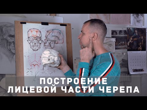 Видео: ЛИЦЕВАЯ ЧАСТЬ ЧЕРЕПА - А. Рыжкин