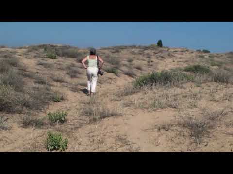 Видео: Хороша страна Болгария или берег Турецкий нам все таки нужен