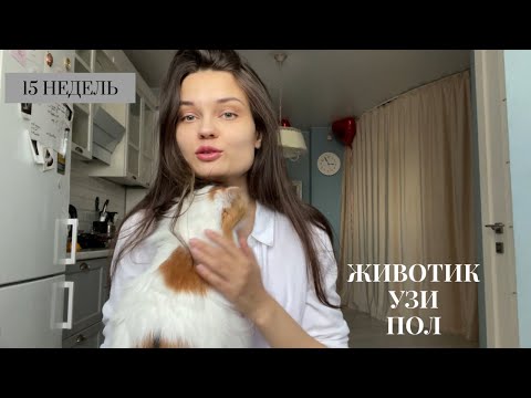 Видео: 15-16 НЕДЕЛЬ/Рост живота.Пол малыша.Гематома