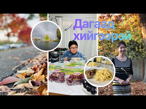 Видео: Хоолны цэсэндээ заавал оруулах хоол. ( BOGI’S Life Vlog 1082)