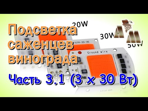 Видео: 🍇 Светодиодная подсветка саженцев винограда. Часть  3.1 - Светодиодные чипы (3 по 30 Вт)