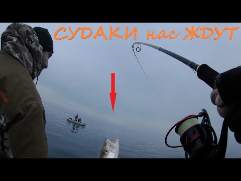 Видео: Судак на водохранилище в конце ноября. Подводные кадры. Капчагай насосные.