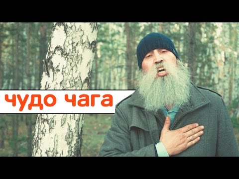 Видео: Знахарь. Чудо чага.