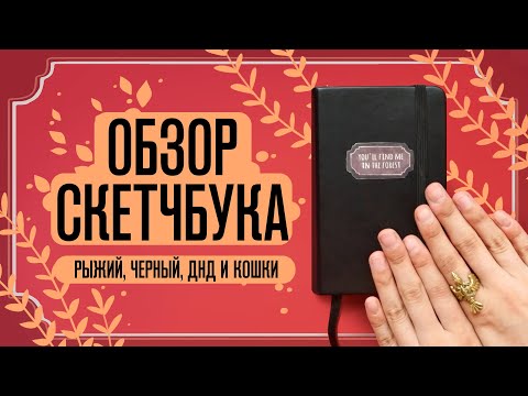 Видео: Обзор Скетчбука | Сплошной рыжий, черный, днд и кошки