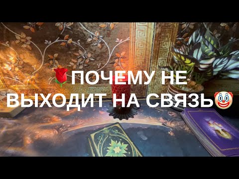Видео: 8 ноября 2025 г.