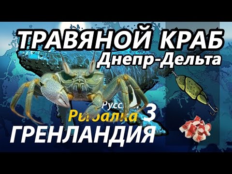 Видео: Травяной краб Днепр Дельта / РР3 [ Русская Рыбалка 3,9 Гренландия ]