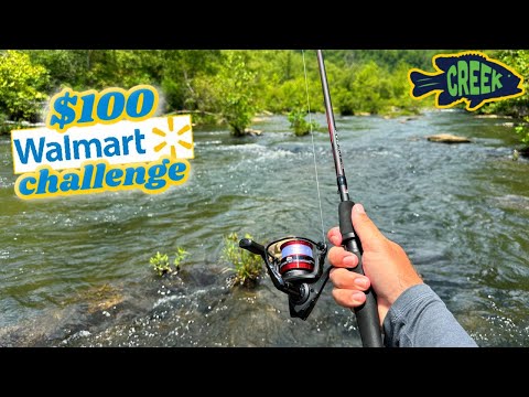 Видео: Малоротый окунь за 100 долларов в Walmart Budget Challenge