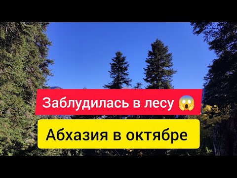 Видео: Моё первое восхождение в горы. Погода в октябре в Абхазии. Малая Рица. ЭКО Тропы Абхазии.