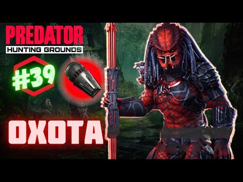 Видео: Predator Hunting Grounds ➤ ГОРОДСКОЙ ОХОТНИК 1997➤ ОХОТА #️39 #predator