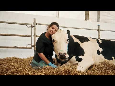 Видео: Агрохолдинг «Залесье» | Корпоративный фильм к юбилею 20 лет