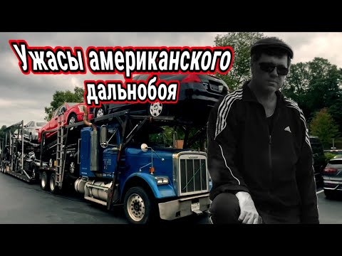 Видео: Грязь и хам повергли меня в ужас! До чего доводят автомобили в Америке! 