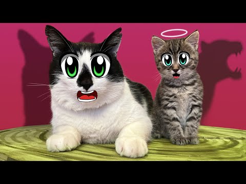 Видео: ПОДПИСЧИКИ ВЫБРАЛИ ИМЯ КОШЕЧКЕ! КОТ МАЛЫШ УЧИТ ЮГИ и ЯНИ в ШКОЛЕ КОТОВ! ЭНИ ЗНАКОМИТСЯ С СЕМЬЕЙ
