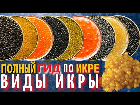 Видео: Полный Гид по Икре | Самая Вкусная Красная и Черная Икра