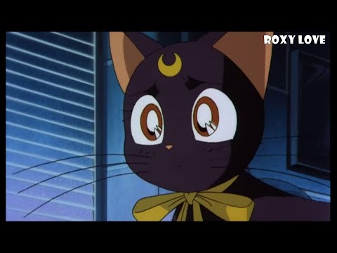 Видео: Sailor Moon — Кошка