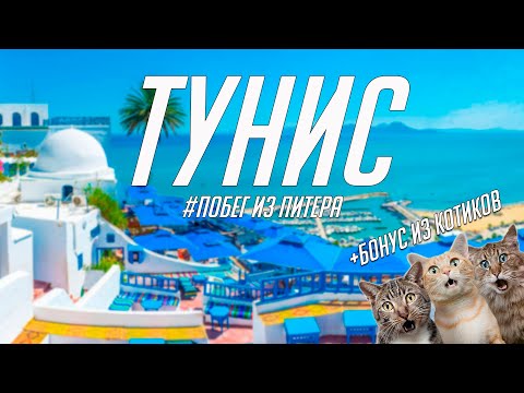 Видео: Тунис в 2021 - то что надо;)