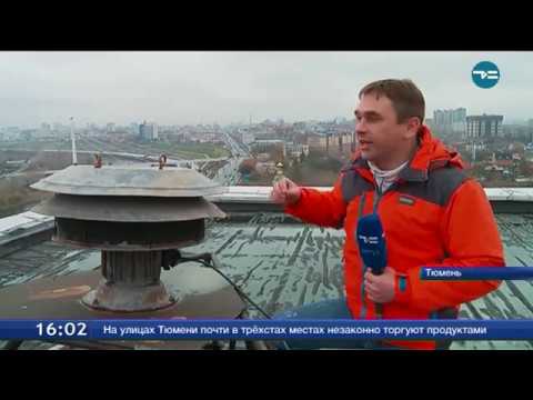 Видео: Внимание всем!