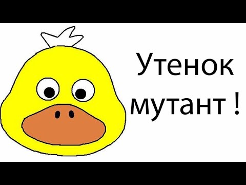 Видео: Утенок мутант !