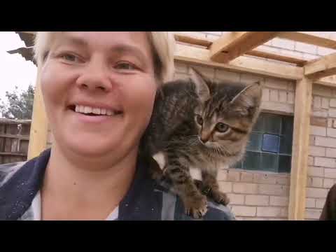 Видео: #Стройка День 3