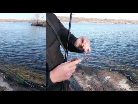 Видео: ЗАПОРОЖЬЕ РЫБАЛКА  НА ЧЕРВЯ!