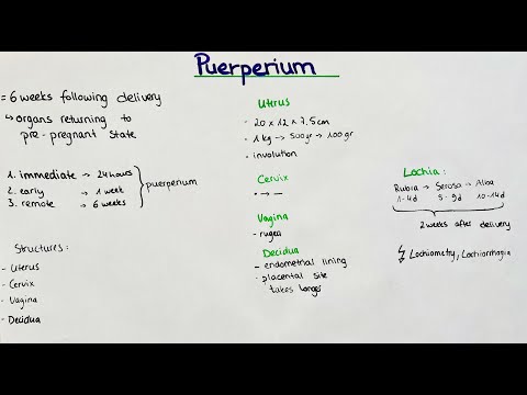 Видео: Пуэрперий – послеродовой период. Лохия. Инволюция.