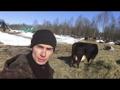 Видео: Послеродовый парез отступил