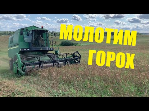 Видео: МОЛОТИМ ГОРОХ / уборка зерновых 2021 / JOHN DEERE 1450