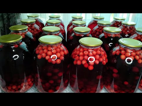 Видео: ОЛЧАЛИ КОМПОТ /Olchadan kompot🍒🍒/ OLCHADAN QISHGA KOMPOT/ КОМПОТ ИЗ ВИШНИ🍒🍒