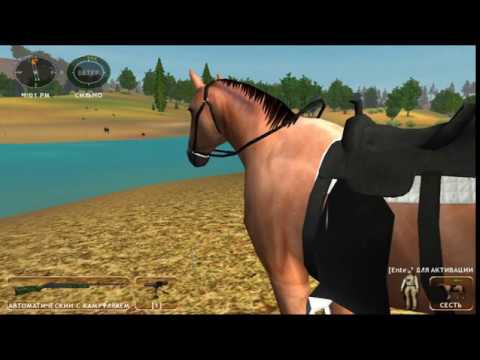 Видео: Hunting Unlimited 2009 Прохождение 29. Большой чёрный медведь