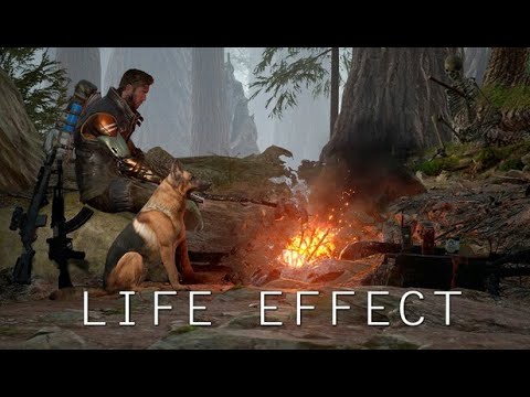 Видео: Life Effect. "Рон" и "Гермиона" в деле. Серия №7